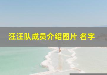 汪汪队成员介绍图片 名字